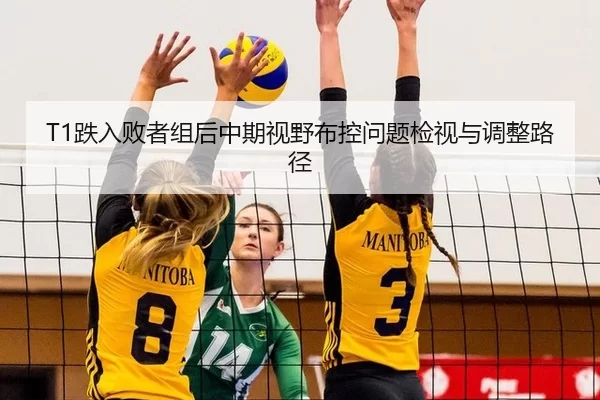 T1跌入败者组后中期视野布控问题检视与调整路径