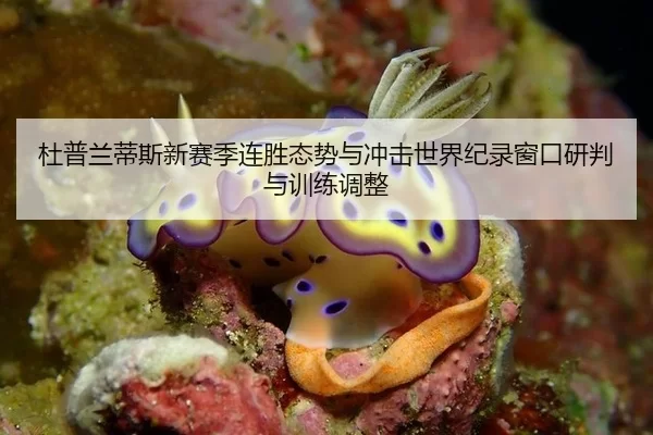 杜普兰蒂斯新赛季连胜态势与冲击世界纪录窗口研判与训练调整