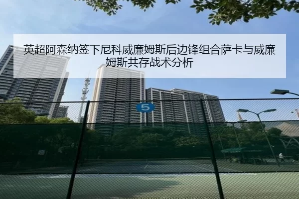 ying-chao-a-sen-na-qian-xia-ni-ke-wei-lian-mu-si-hou-bian-feng-zu-he-sa-ka-yu-wei-lian-mu-si-gong-cun-zhan-shu-fen-xi-3-284.jpg